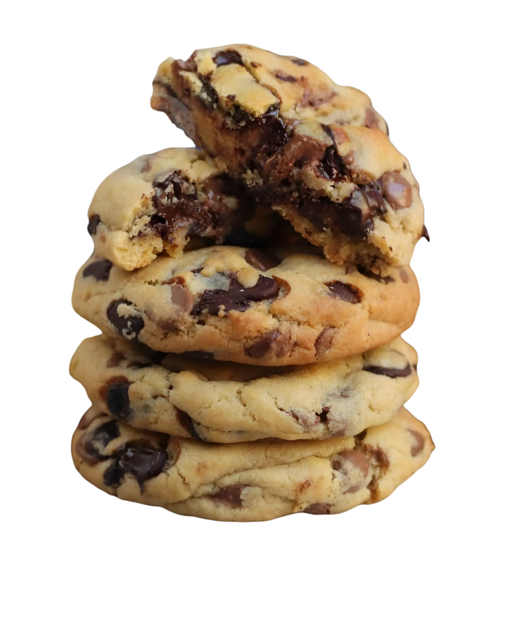 Chocolate chip cookie