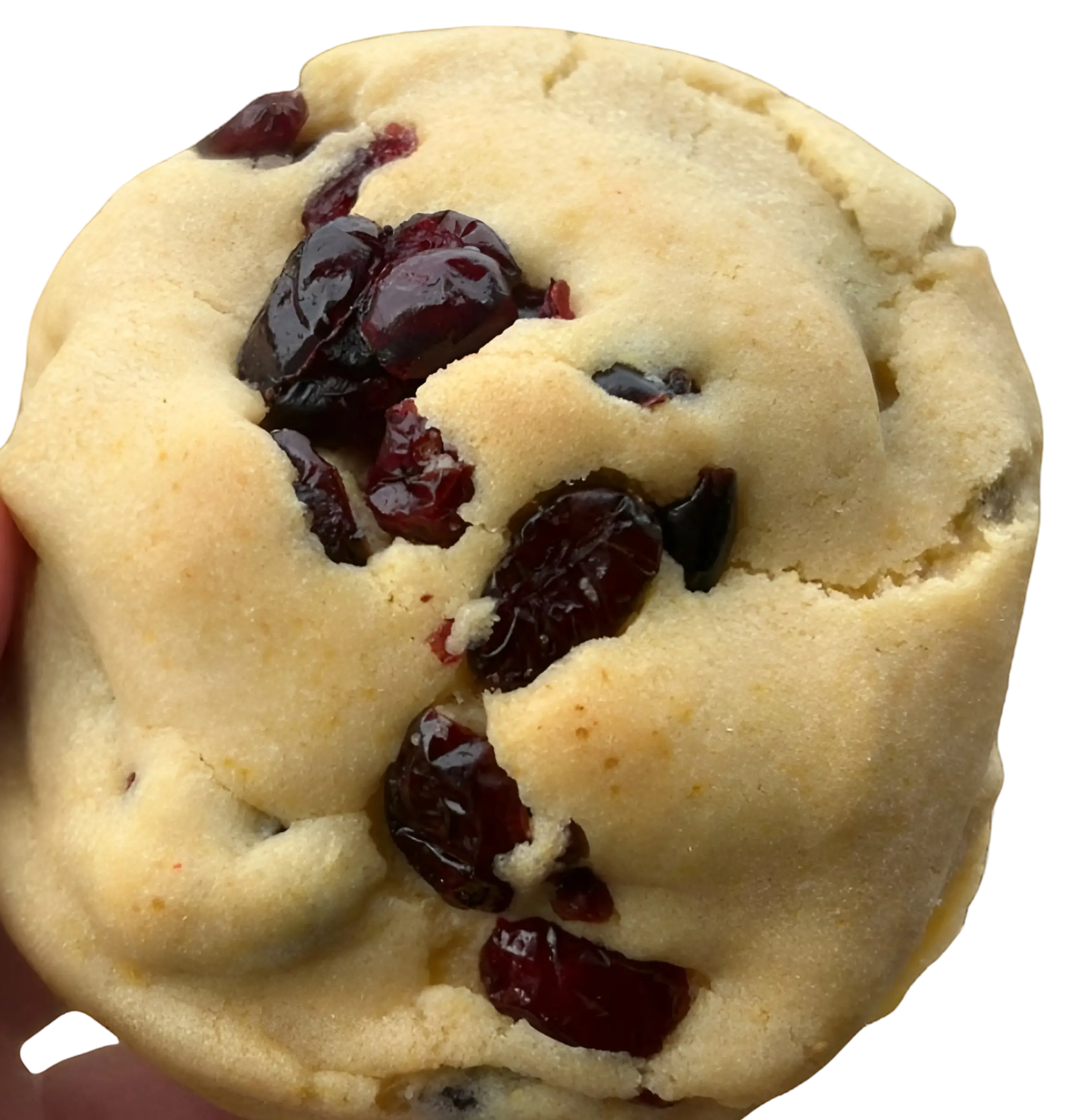 Orange cranberry